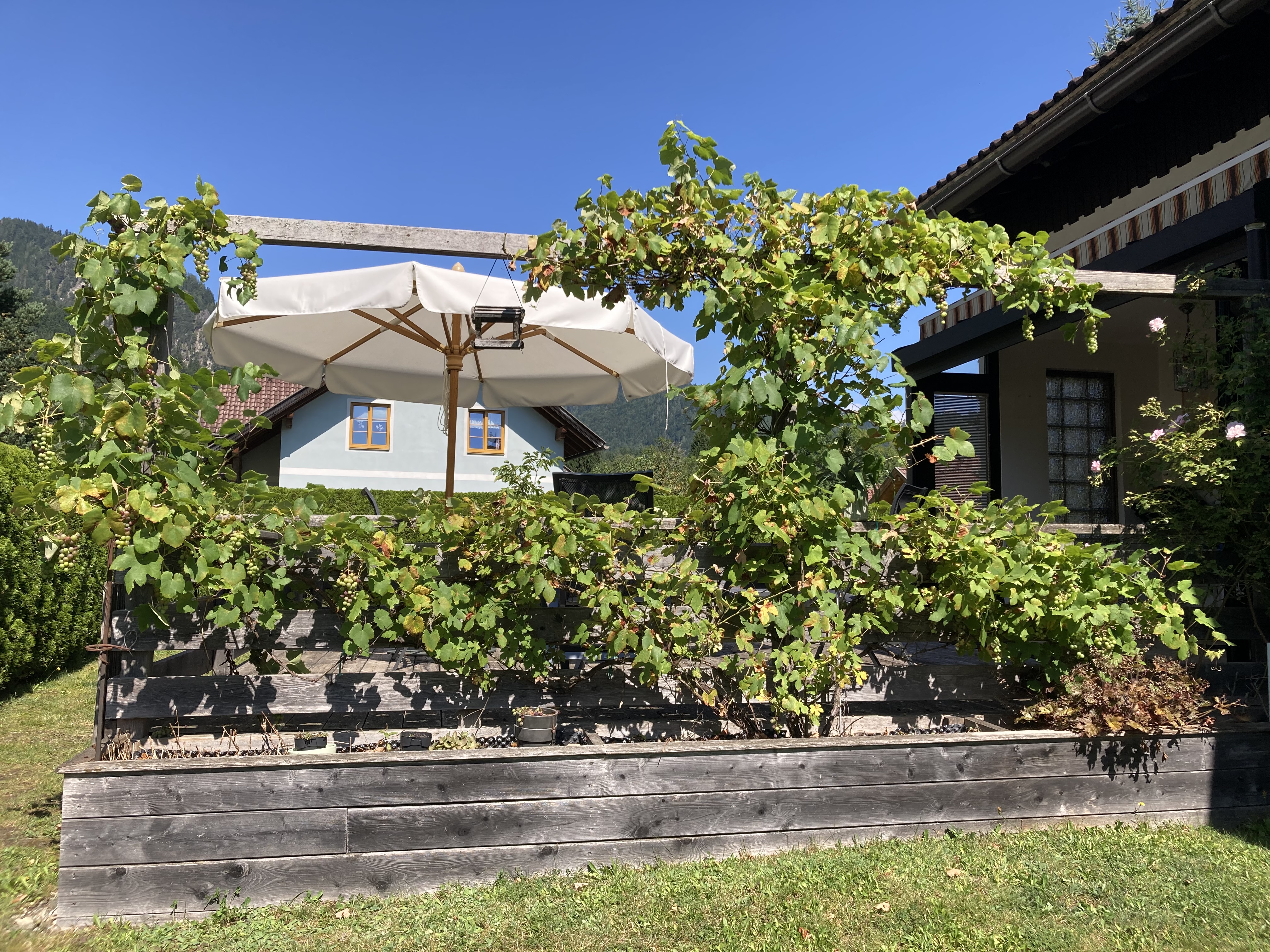 Aanzicht van het terras vanuit de tuin