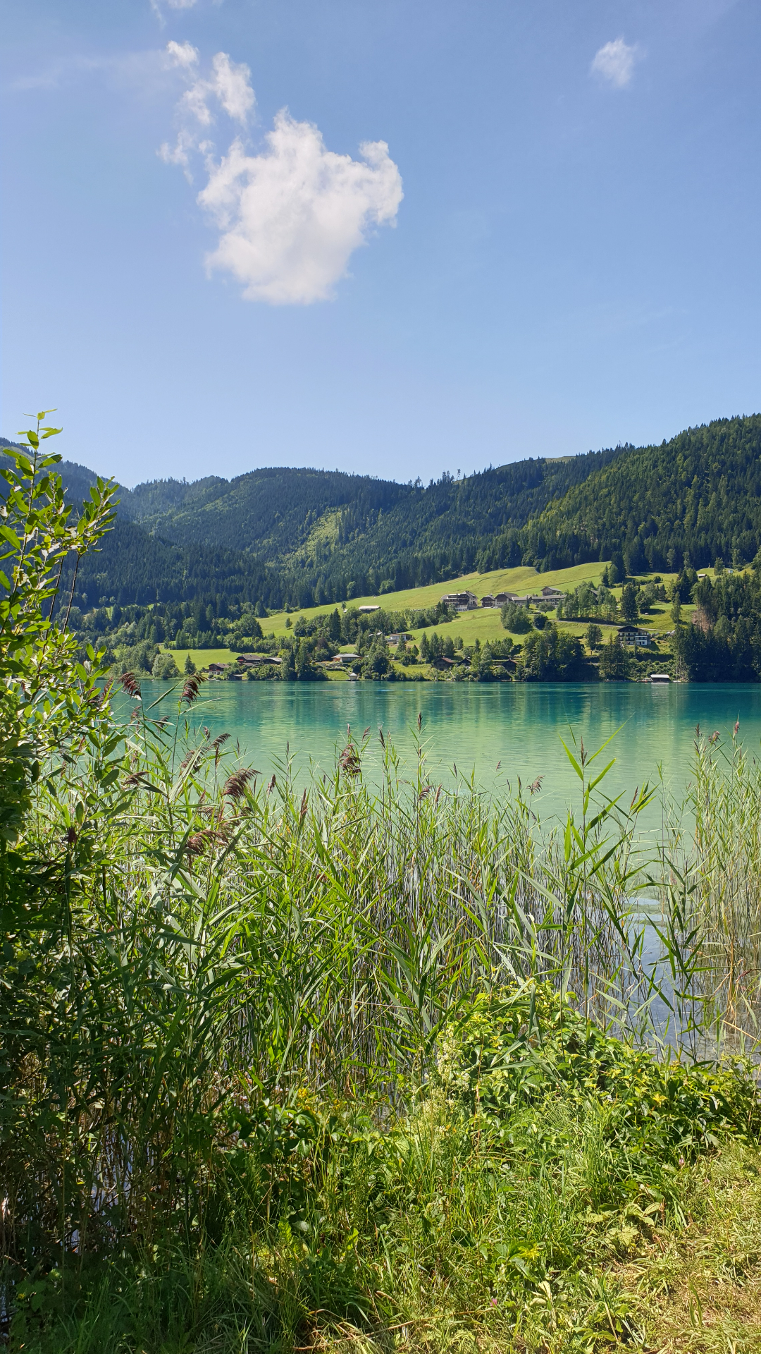 Turquoise water van de Pressegger See met groene berghellingen